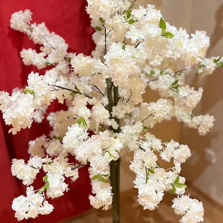 Appartamento Little Japan Roubaix